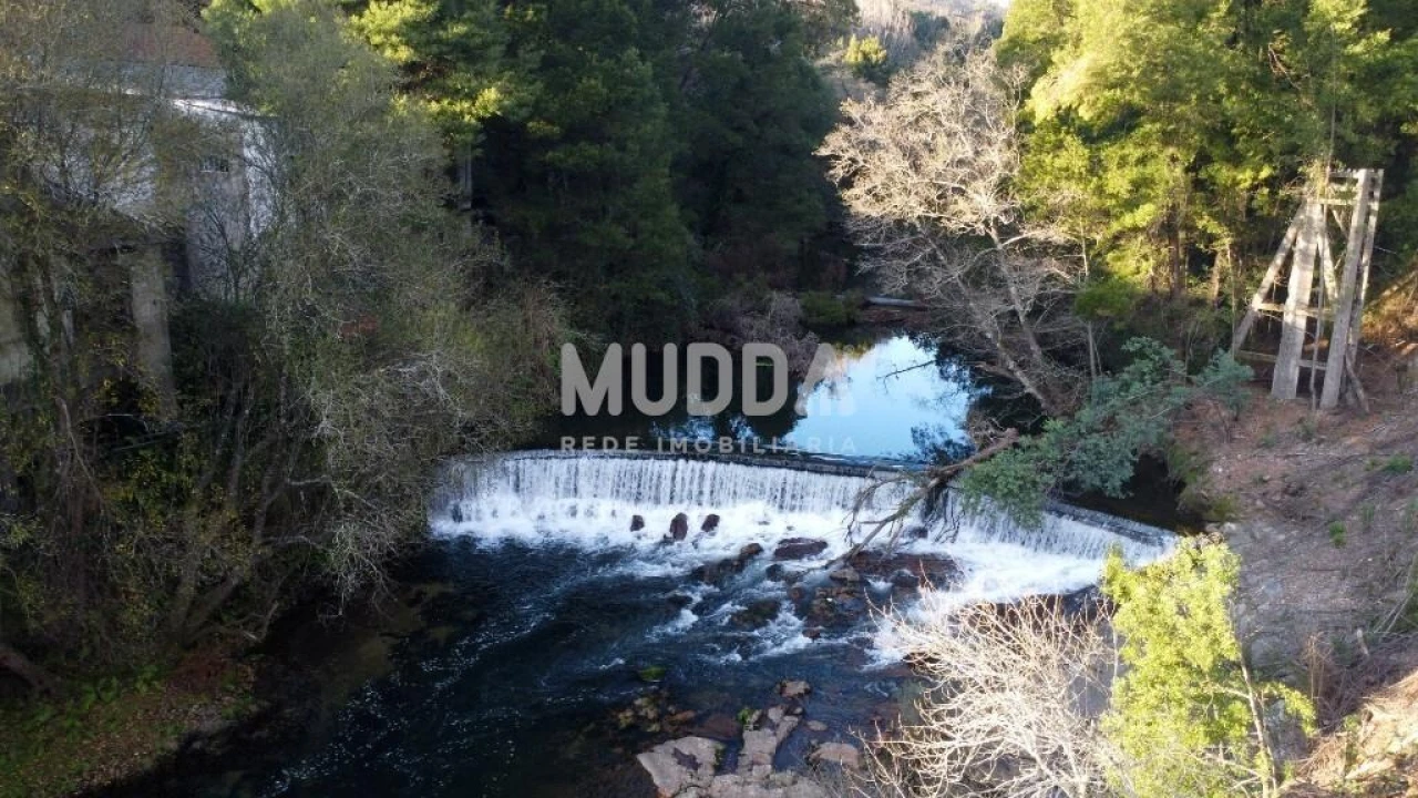 Quinta T2 para Venda em Pinheiro da Bemposta, Travanca e Palmaz Foto 10