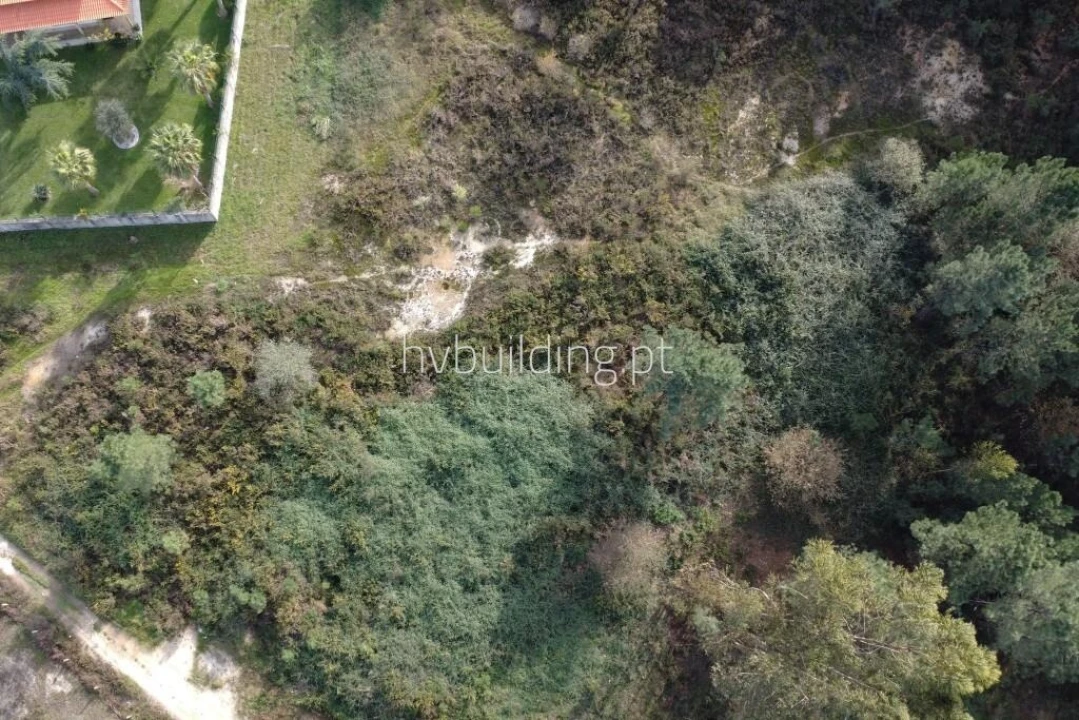 Terreno para Venda em Ucha Foto 6