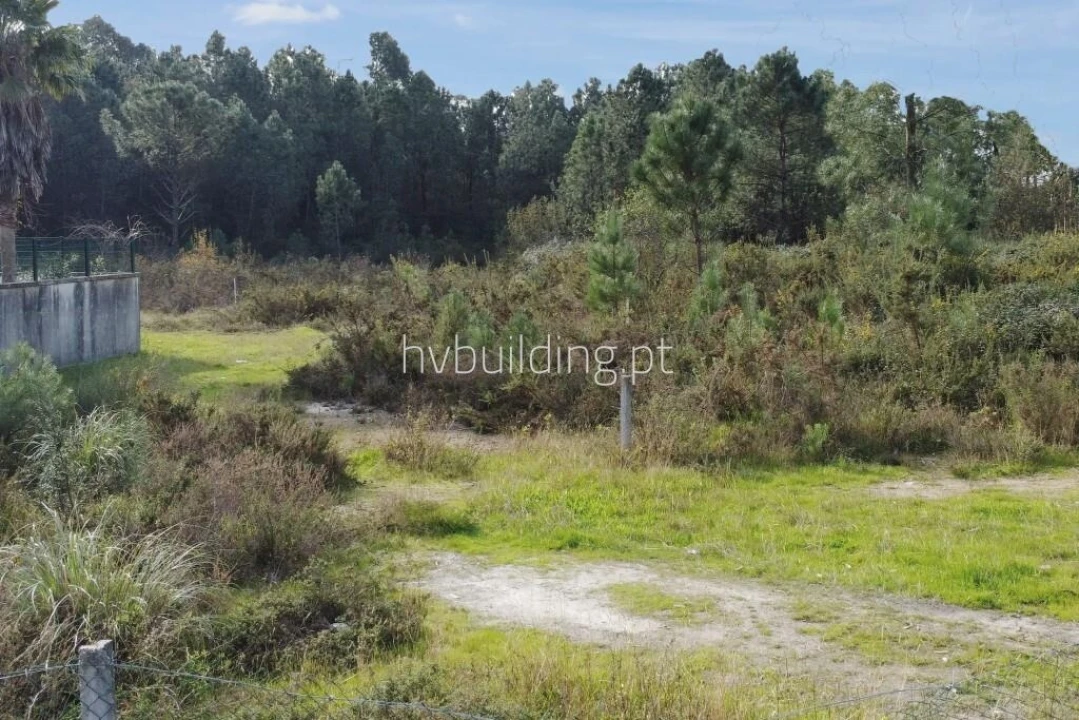 Terreno para Venda em Ucha Foto 1