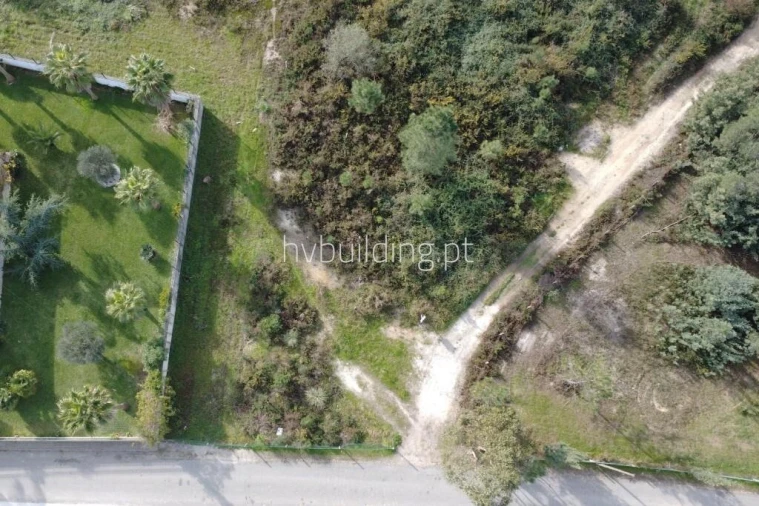 Terreno para Venda em Ucha Foto 3