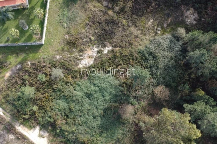 Terreno para Venda em Ucha Foto 6