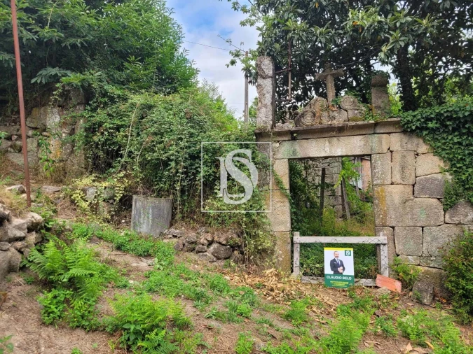 Terreno para Venda em Cinfães Foto 11