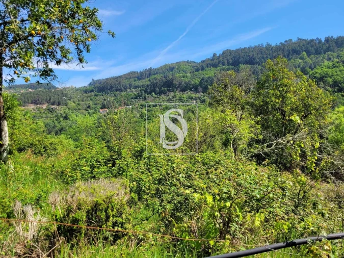 Terreno para Venda em Cinfães Foto 7