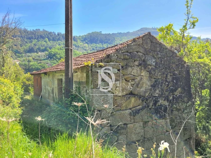 Terreno para Venda em Cinfães Foto 2