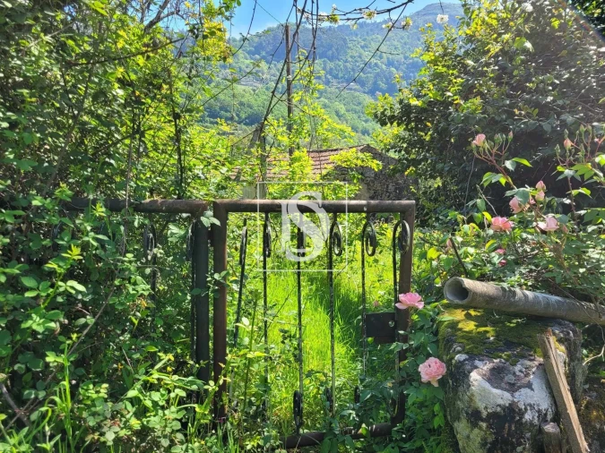 Terreno para Venda em Cinfães Foto 4