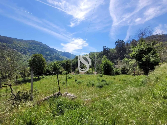 Terreno para Venda em Cinfães Foto 6