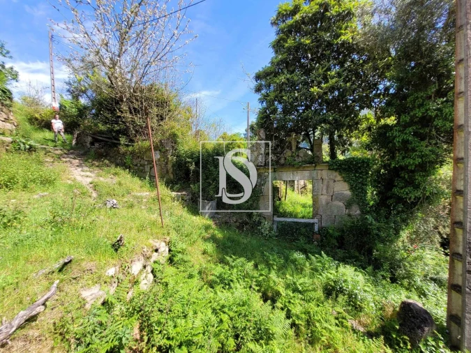 Terreno para Venda em Cinfães Foto 8