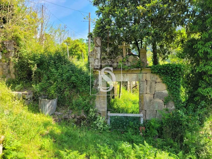 Terreno para Venda em Cinfães Foto 9