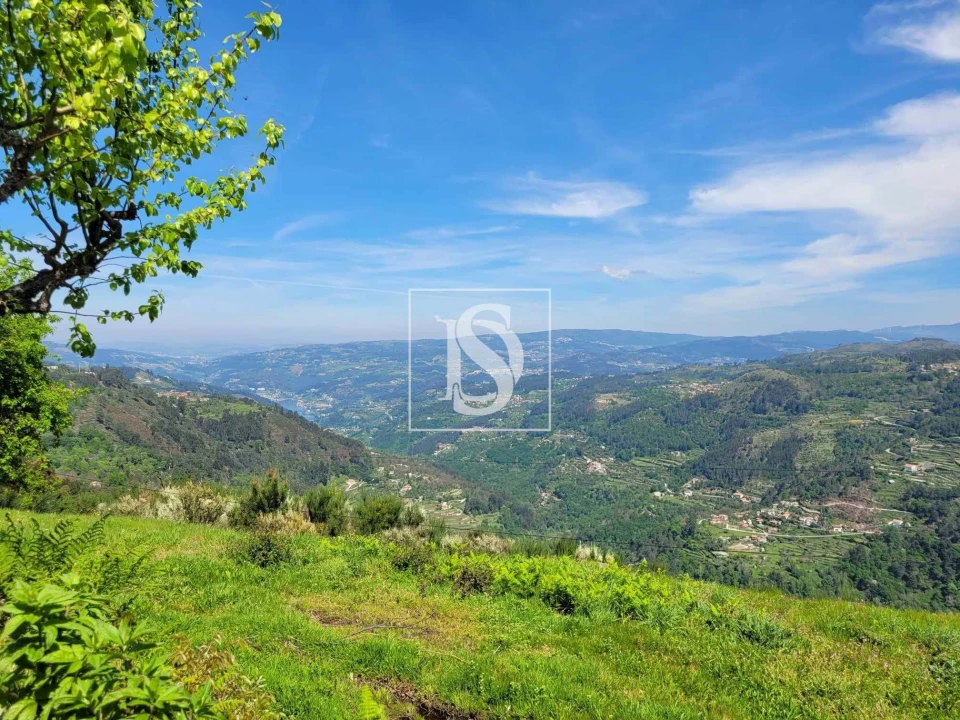 Terreno para Venda em Cinfães Foto 5