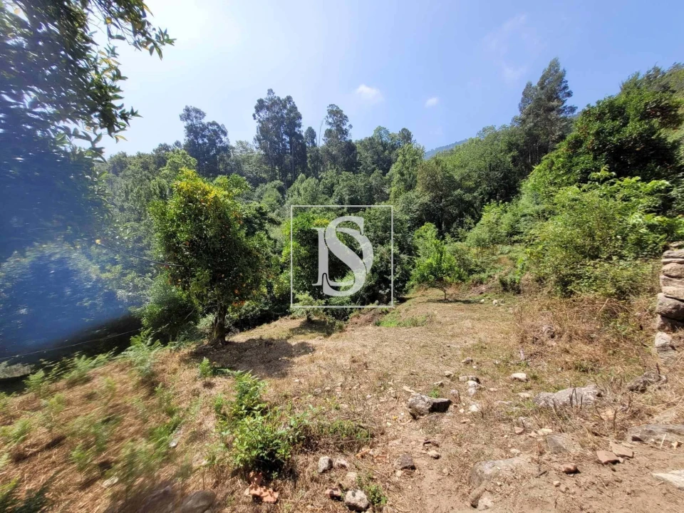 Moradia T2 para Venda em Cinfães Foto 14