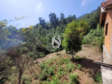 Moradia T2 para Venda em Cinfães