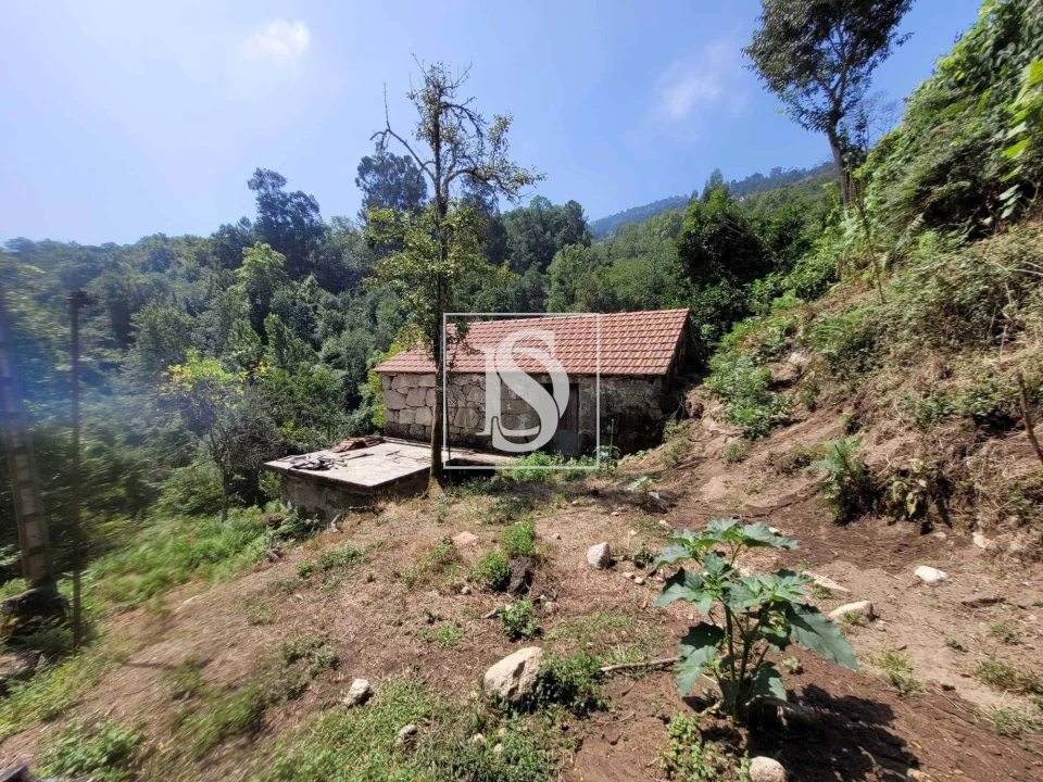 Moradia T2 para Venda em Cinfães Foto 6