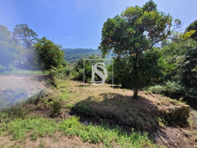 Moradia T2 para Venda em Cinfães Foto 13