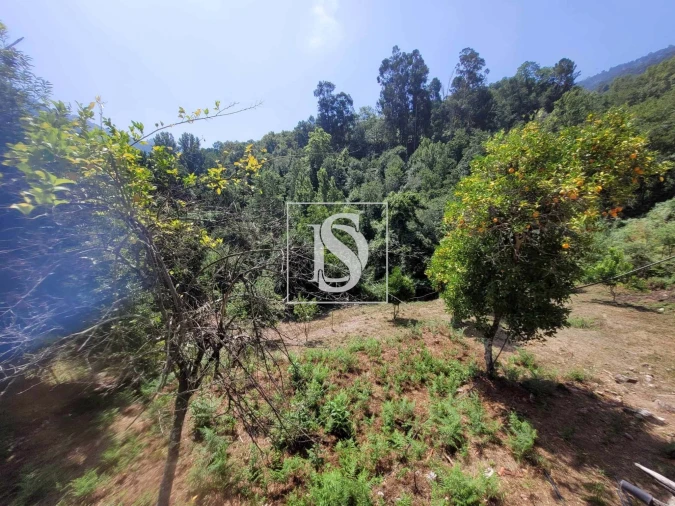 Moradia T2 para Venda em Cinfães Foto 10