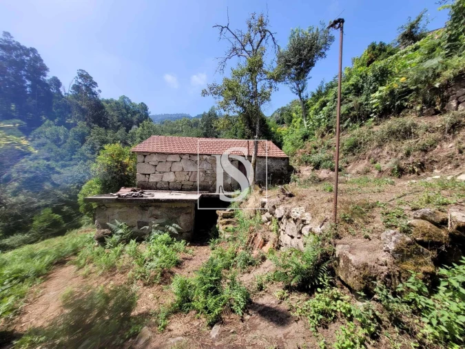 Moradia T2 para Venda em Cinfães Foto 1