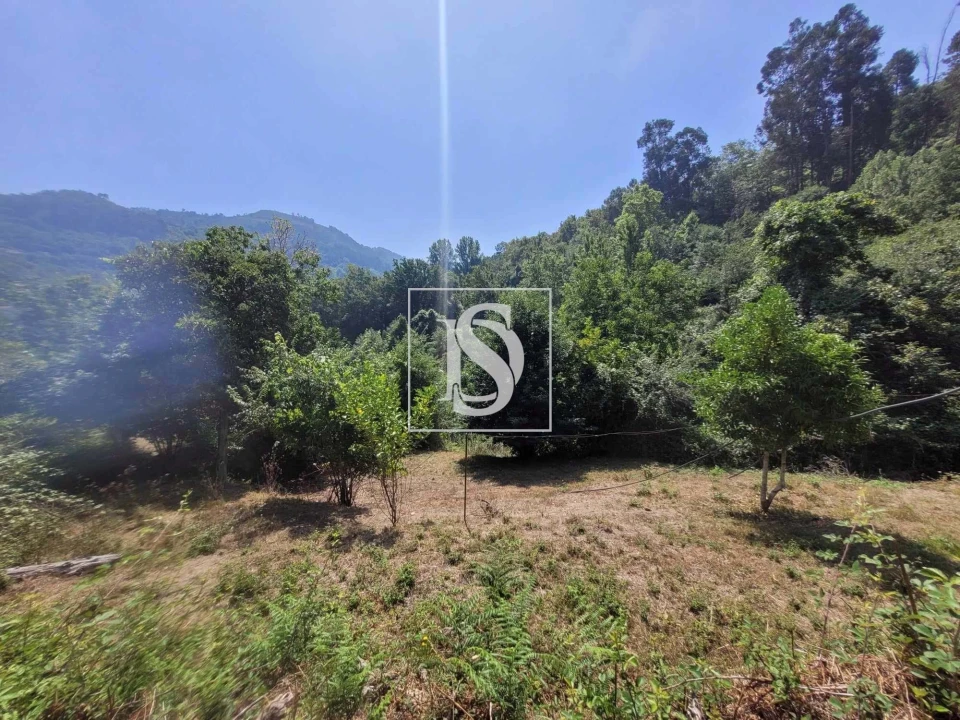 Moradia T2 para Venda em Cinfães Foto 11