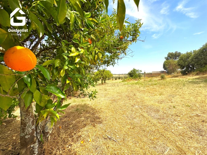 Quinta T0 para Venda em Escalos de Cima e Lousa Foto 13