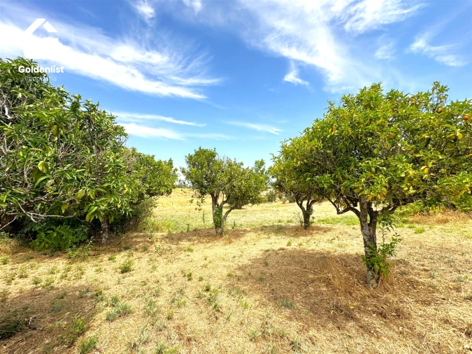 Quinta T0 para Venda em Escalos de Cima e Lousa Foto 21