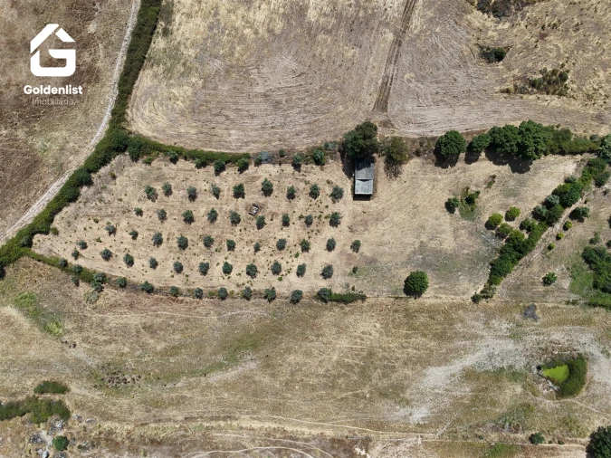 Quinta T0 para Venda em Escalos de Cima e Lousa Foto 5