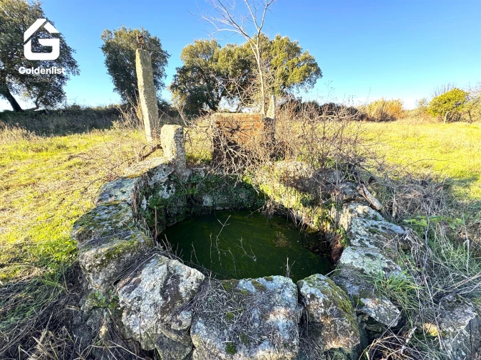 Quinta T0 para Venda em Escalos de Cima e Lousa Foto 9