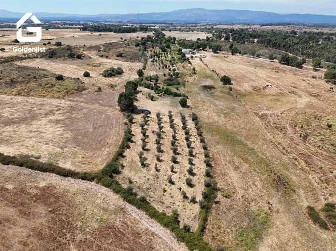 Quinta T0 para Venda em Escalos de Cima e Lousa Foto 22