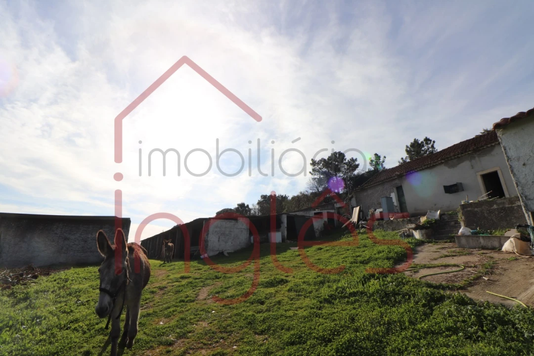 Moradia T1 para Venda em Povoa da Isenta Foto 3