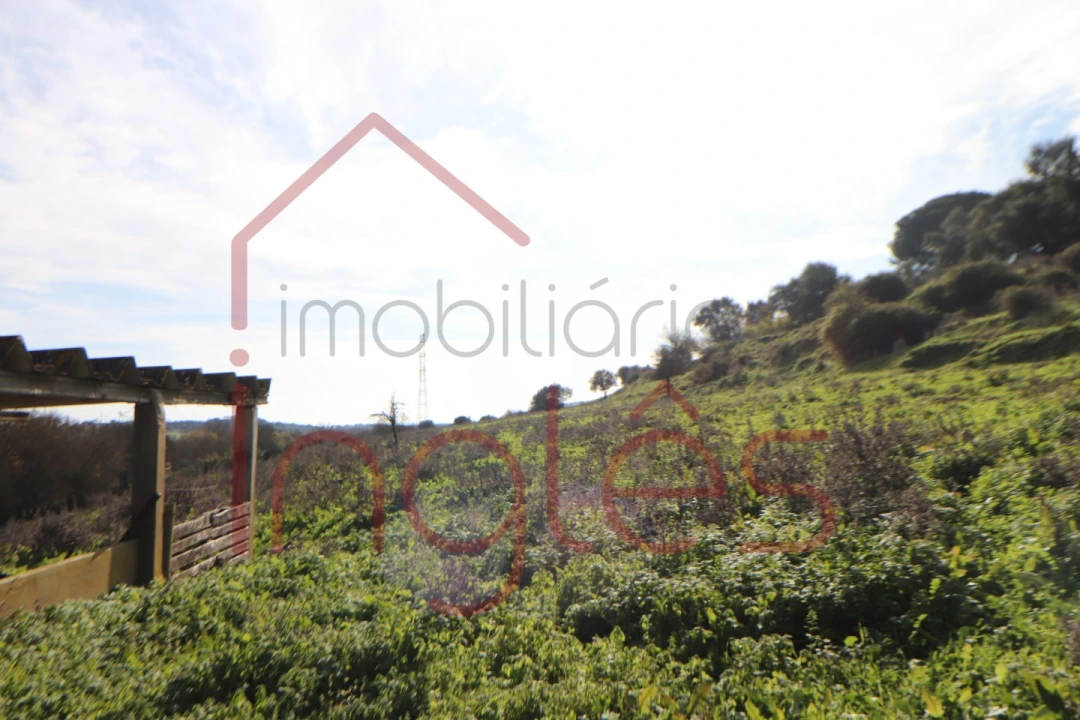 Moradia T1 para Venda em Povoa da Isenta Foto 7