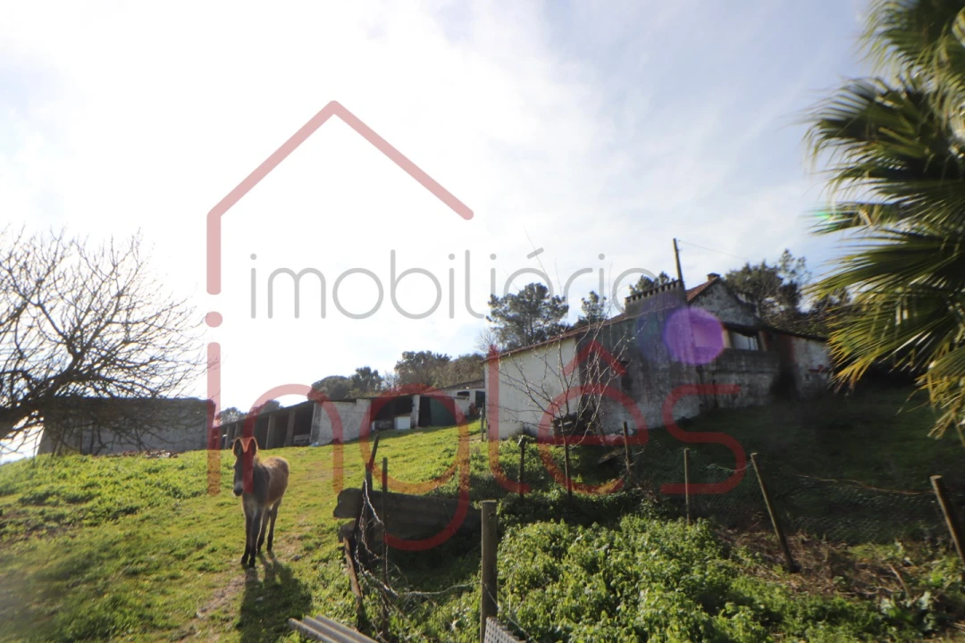 Moradia T1 para Venda em Povoa da Isenta Foto 8