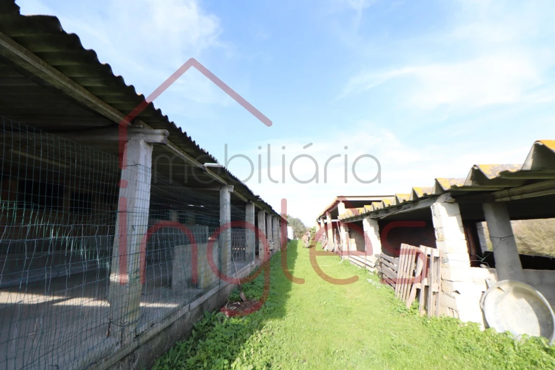 Moradia T1 para Venda em Povoa da Isenta Foto 9