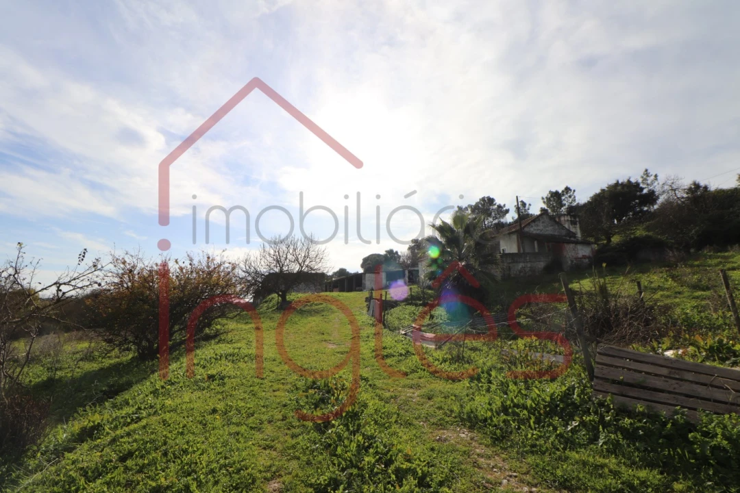 Moradia T1 para Venda em Povoa da Isenta Foto 16