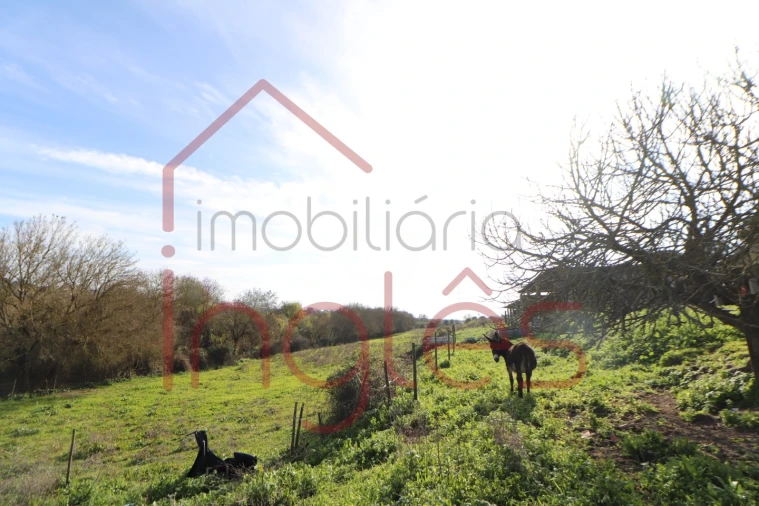 Moradia T1 para Venda em Povoa da Isenta Foto 4