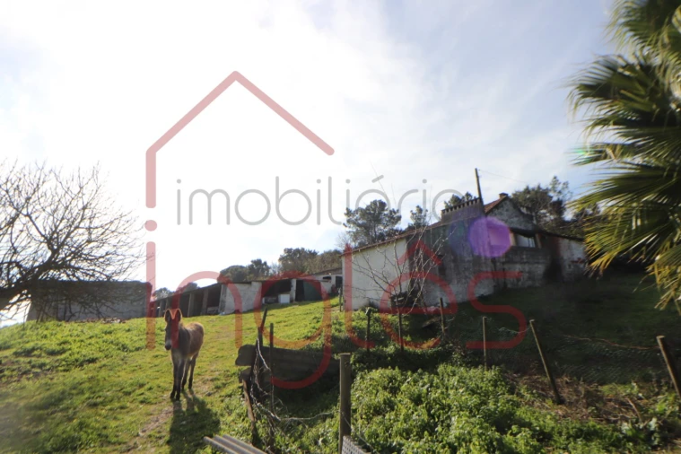 Moradia T1 para Venda em Povoa da Isenta Foto 8