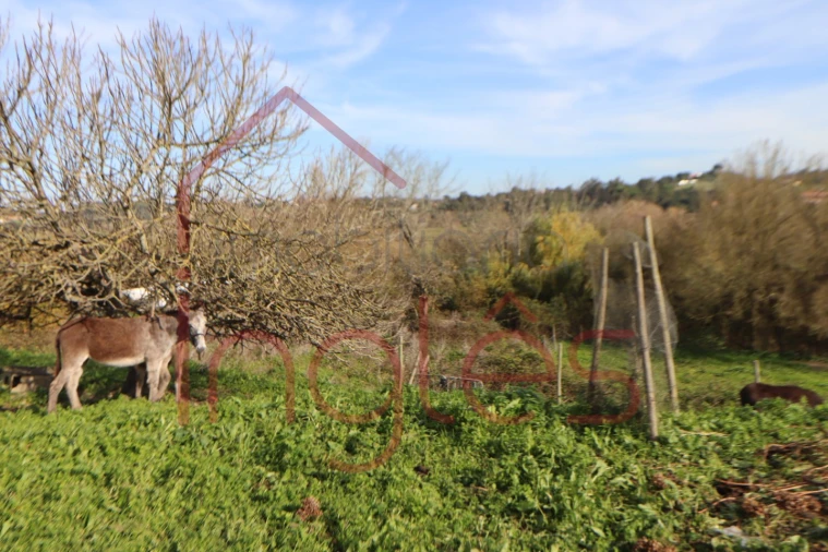 Moradia T1 para Venda em Povoa da Isenta Foto 10