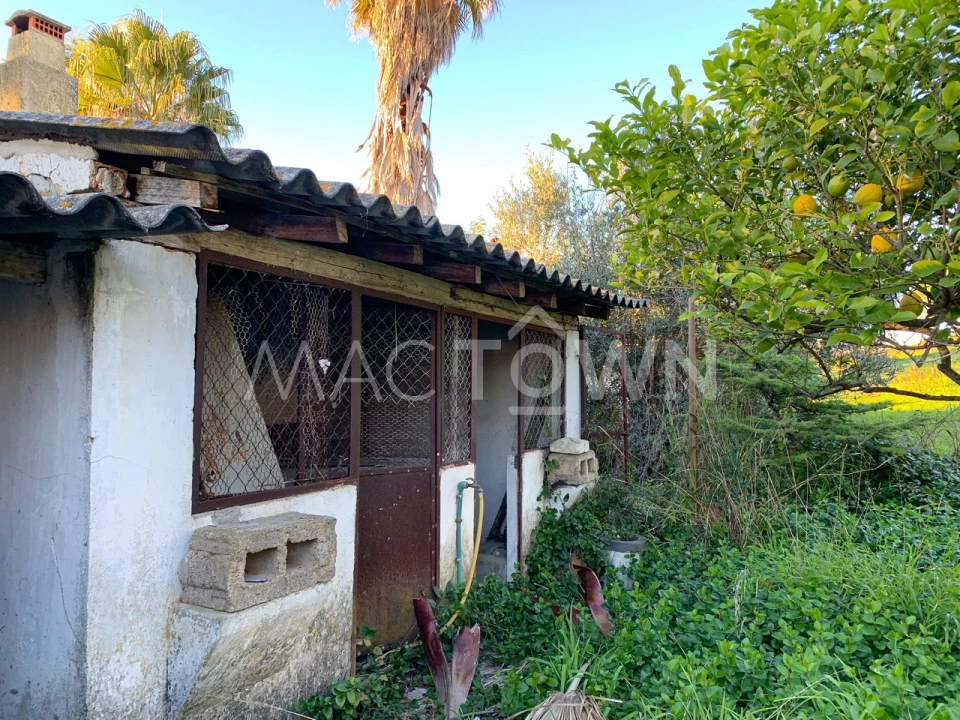 Moradia T4 para Venda em Alcanena e Vila Moreira Foto 20