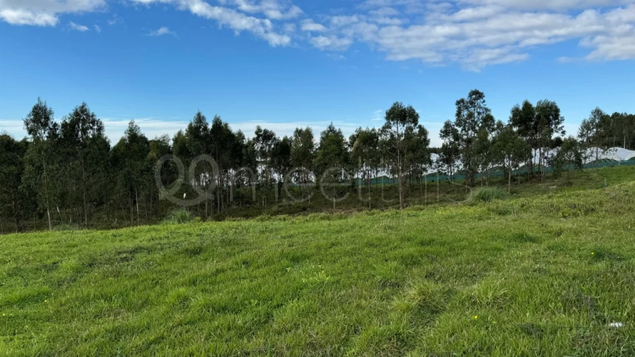 Terreno para Venda em Ramalhal Foto 19