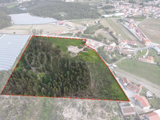 Terreno para Venda em Ramalhal