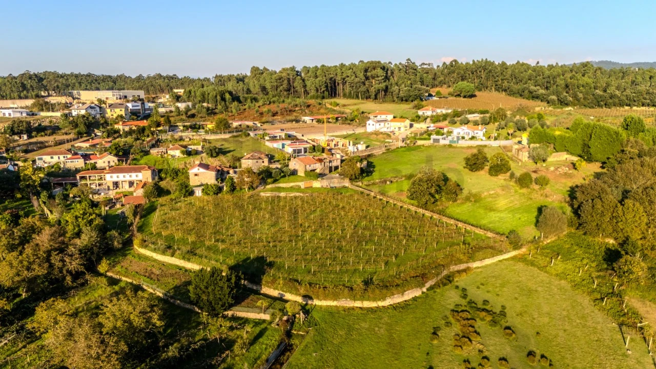 Quinta T4 para Venda em Areias de Vilar e Encourados Foto 12