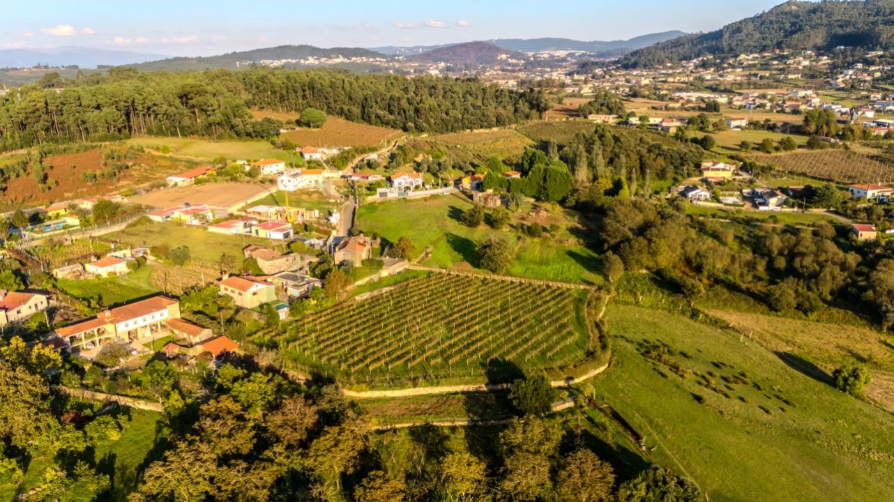 Quinta T4 para Venda em Areias de Vilar e Encourados Foto 13