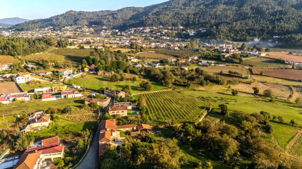 Quinta T4 para Venda em Areias de Vilar e Encourados Foto 16
