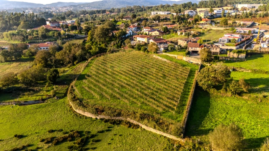 Quinta T4 para Venda em Areias de Vilar e Encourados Foto 10