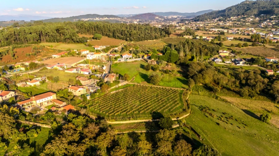 Quinta T4 para Venda em Areias de Vilar e Encourados Foto 13