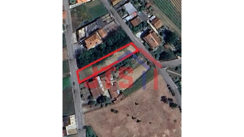 Terreno para Venda em Bustos, Troviscal e Mamarrosa