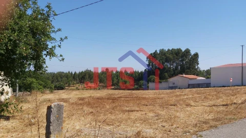 Terreno para Venda em Bustos, Troviscal e Mamarrosa