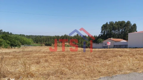 Terreno para Venda em Bustos, Troviscal e Mamarrosa