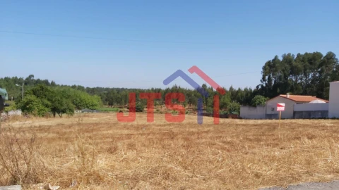 Terreno para Venda em Bustos, Troviscal e Mamarrosa