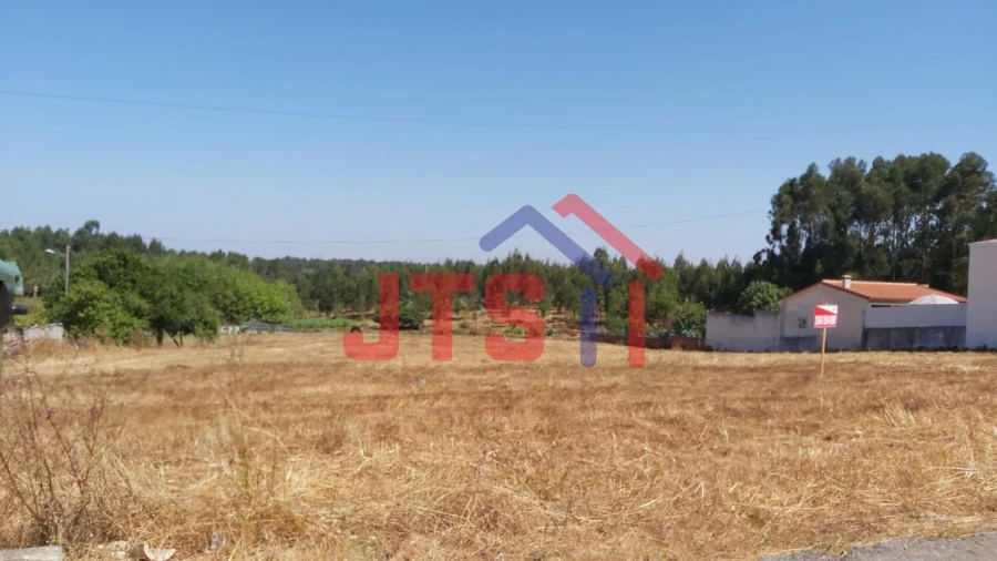 Terreno para Venda em Bustos, Troviscal e Mamarrosa Foto 5