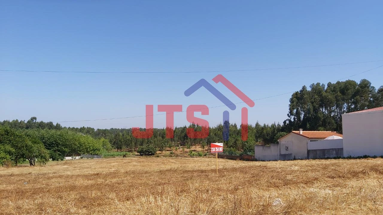 Terreno para Venda em Bustos, Troviscal e Mamarrosa Foto 6