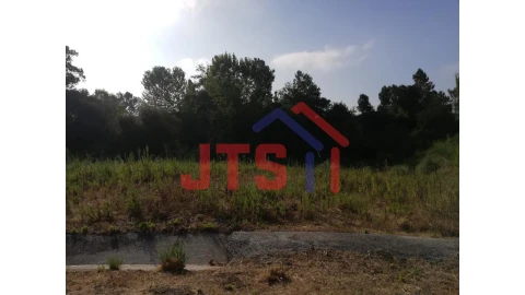 Terreno para Venda em Oliveira do Bairro
