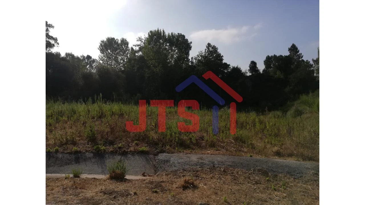 Terreno para Venda em Oliveira do Bairro Foto 1
