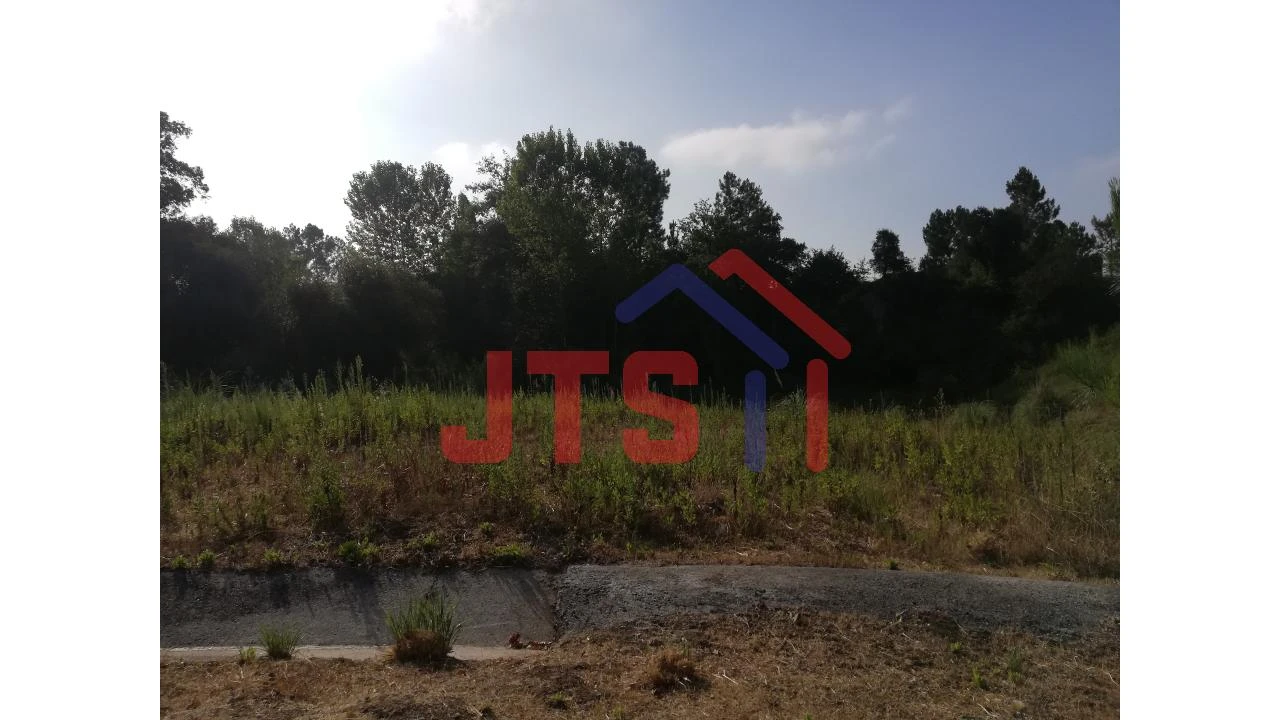 Terreno para Venda em Oliveira do Bairro Foto 2